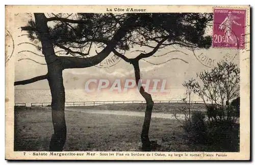 Ste Marguerite sur Mer - Sous les Pins en bordure de l&#39Ocean au large le rocher Pierre Perche - C