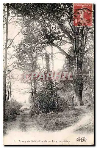 Ansichtskarte AK Etang de Saint Cucufa Le gros chene