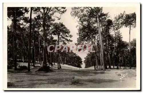 Arcachon - Les dunes de la Ville d&#39Hiver - Cartes postales