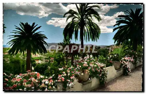 Grasse - sa Vegetation exotique Au Fond la Mediterranee - Ansichtskarte AK