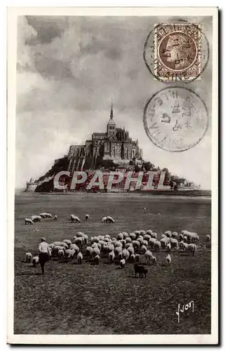 Le Mont saint Michel - mouton - sheep grazing - Ansichtskarte AK