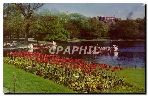 Etats Unis Ansichtskarte AK Public Gardens Boston