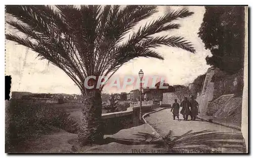 Toulon Cartes postales Le Mourmillon Vue entre les palmiers