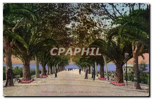 Italie Italia VEntimiglia Cartes postales La passeggiata delle palme al mate