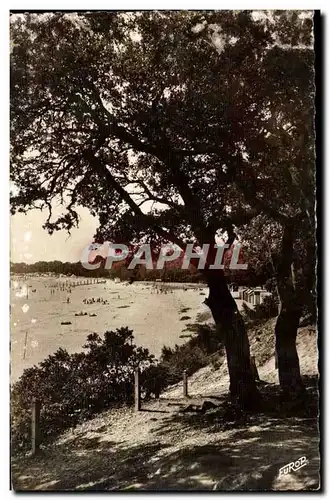 Noirmoutier Ansichtskarte AK Plage St pierre vue du bois de la Chaize