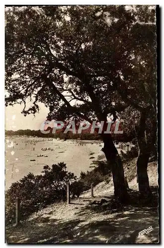 Noirmoutier Cartes postales Plage St pierre vue du bois de la Chaize