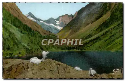 Cauterets Cartes postales La lac de Gaube