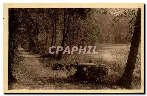 Saint Honore les Bains Cartes postales Sous bois au Defend