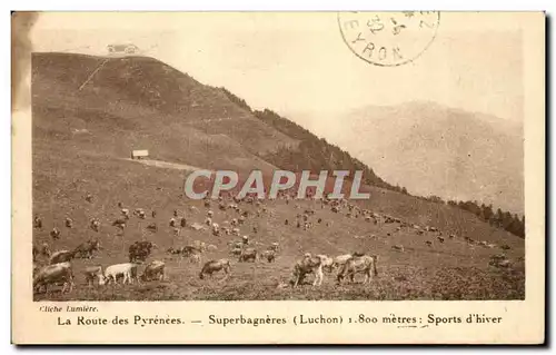 Route des Pyrenees Cartes postales Superbagneres Sports d&#39hiver Luchon