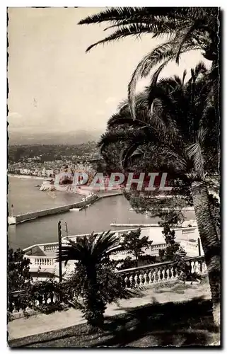 Nice Cartes postales moderne Vue prise du Mont Boron