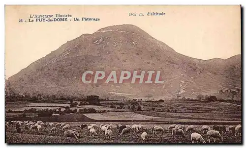 Puy de Dome Cartes postales Un paturage (moutons)