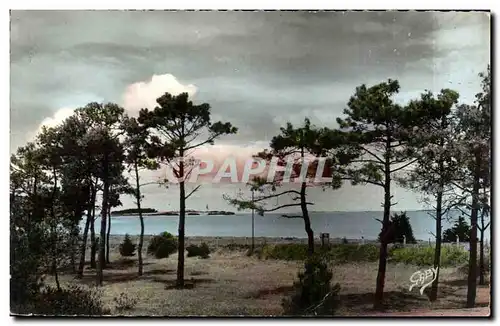 port des Barques Cartes postales moderne La mer a travers les pins