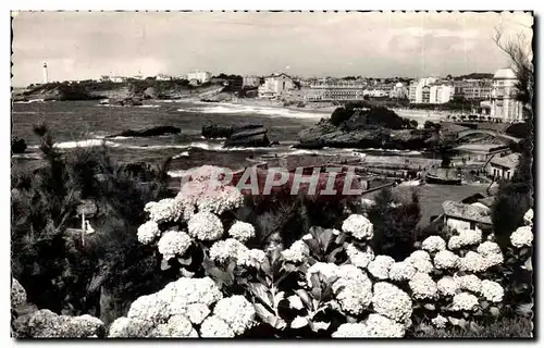 Biarritz Moderne Karte Les hortensias et vue generale sur le rocher du Basta la plage et le phare (lighthouse)