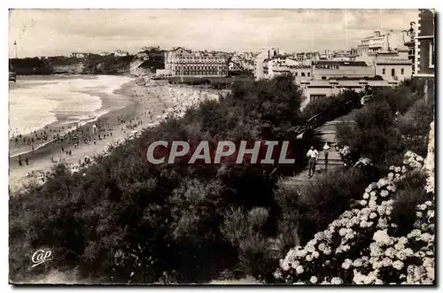 Biarritz Cartes postales moderne La plage et les hortensias