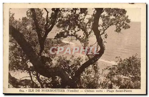 Ile de Noirmoutier Ansichtskarte AK Chenes verts Plage saint Pierre