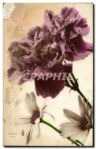 Cartes postales Fantaisie Fleurs