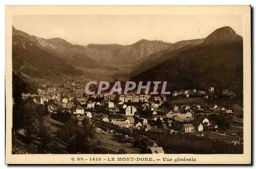 Auvergne Ansichtskarte AK G D&#39O Le mont dore Vue generale