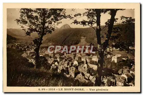 Auvergne Ansichtskarte AK G D&#39O Le mont dore Vue generale