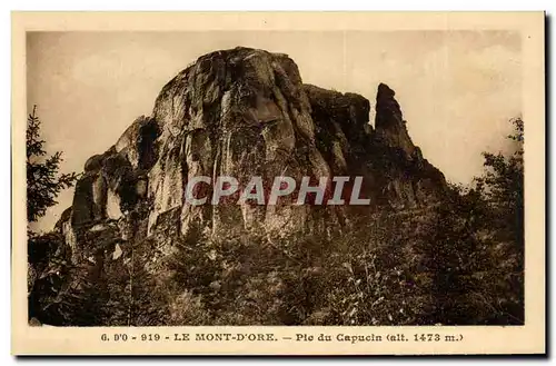 Auvergne Ansichtskarte AK G D&#39O Le Mont Dore pte du capucin