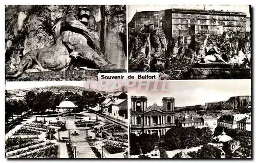 Belfort Cartes postales Souvenir Roseraie chateau lion Saint Christophe
