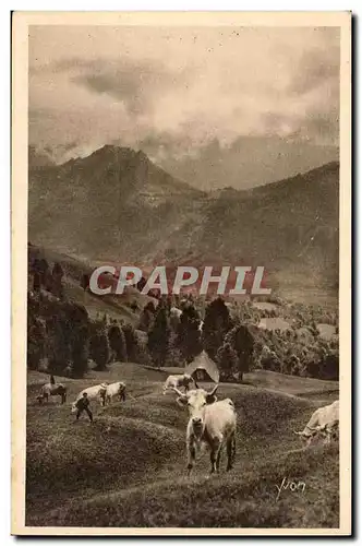 Pyrenees Cartes postales Paturage sur la route du col d&#39Aubisque (vaches)