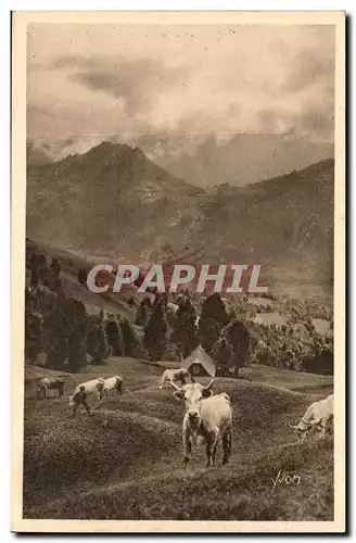 Pyrenees Ansichtskarte AK Paturage sur la route du col d&#39Aubique (vaches)