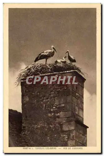 Cartes postales Luxeuil les Bains Nid de cigognes