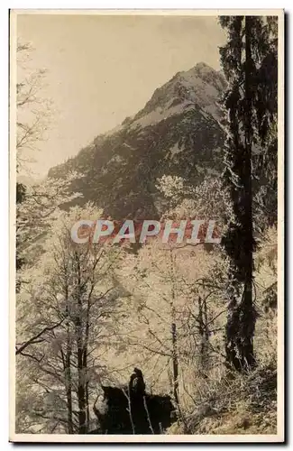 Suisse Cartes postales Rauhreil