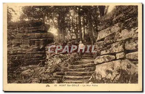 Mont Saint Odile Cartes postales Le mur paien