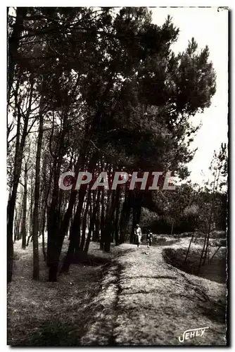 Bretignoles sur Mer - La Foret des Dunes Cartes postales