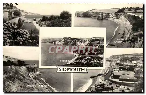 Cartes postales moderne Great Britain Sidmouth