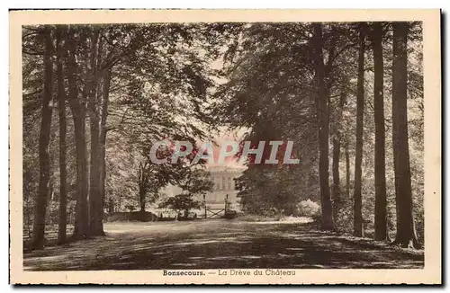 Cartes postales Bonsecours la Dreve du chateau