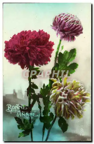 Cartes postales Fantaisie Fleurs