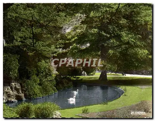 Rouen Ansichtskarte AK Les cygnes du jardin solferino