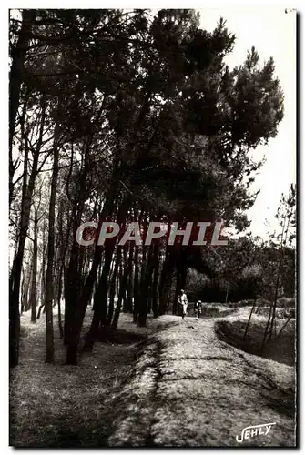 Bretignolles sur Mer - La Foret des Dunes - Ansichtskarte AK