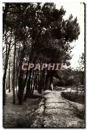 Bretignolles sur Mer - La Foret des Dunes - Ansichtskarte AK