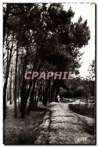 Bretignolles sur Mer - La Foret des Dunes - Ansichtskarte AK