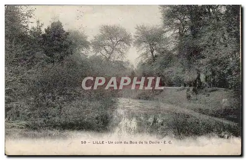 Lille - Un Coin du Bois de la Doule - Cartes postales