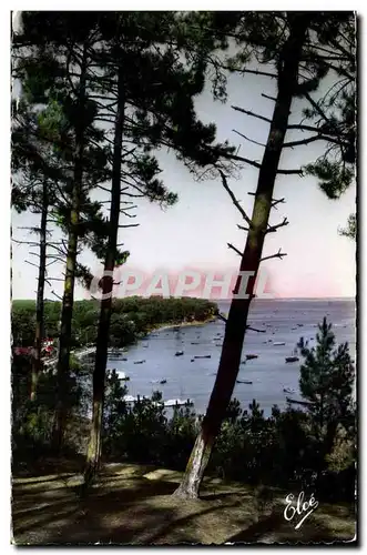 bassin d'Arachon - Echaprr sur le Bassin a travers les Pins - Cartes postales