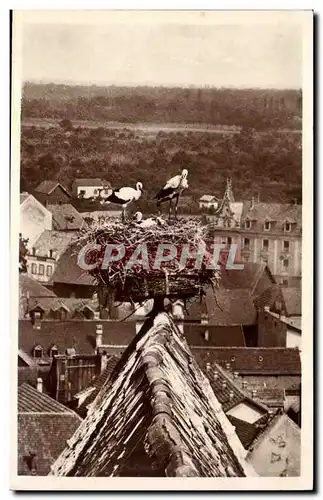 Cartes postales Cigognes d&#39Alsace Eglise de l&#39ancien hopital de Colmar