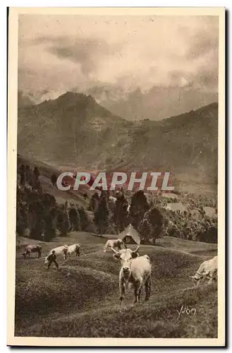 Cartes postales Paturage sur la route du col d&#39Aubisque