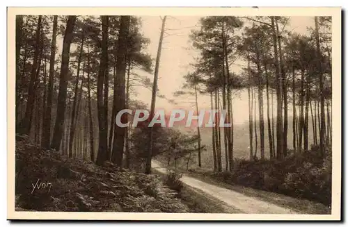 Cartes postales Landes de Gascogne Route de Leon a Moliets