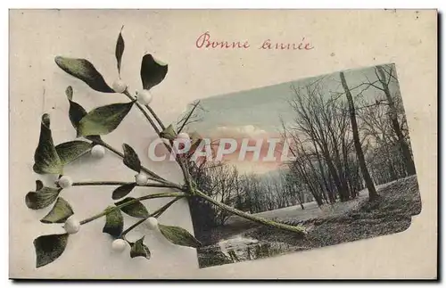 Cartes postales FAntaisie Bonne annee Fleurs