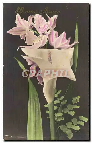 Cartes postales FAntaisie Fleurs Bonne annee