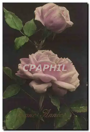 Cartes postales FAntaisie Bonne annee Rose