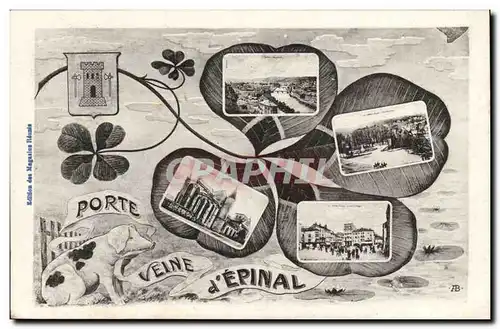 Cartes postales Porte VEine d'Epinal (cochon pig)