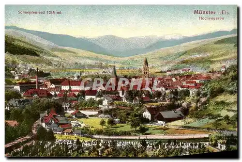 Munster Cartes postales Hochvogesen Schnepfenreid