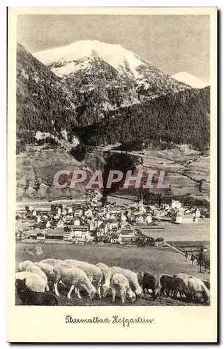 Autriche Austria osterreich Ansichtskarte AK Thermalbad Hofhastein (moutons)