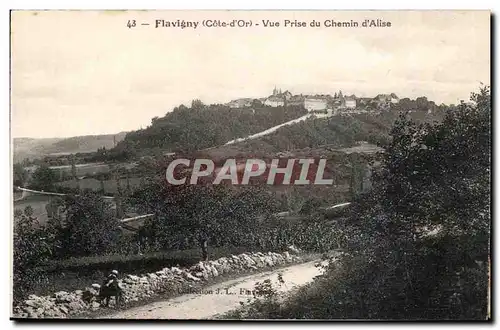 Flavigny Cartes postales Vue prise du chemin d&#39Alise