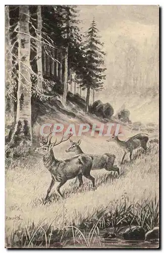 Cartes postales Cerfs Chevreuils